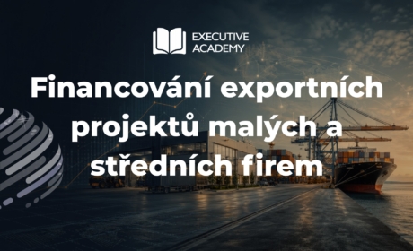 Financování exportních projektů malých a středních firem