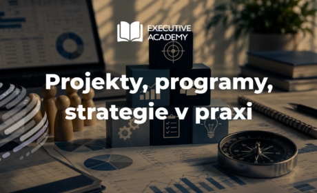 Projekty, programy, strategie v praxi