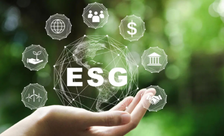 ESG 101 pro exekutivní pracovníky